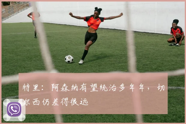 特里：阿森纳有望统治多年年，切尔西仍差得很远