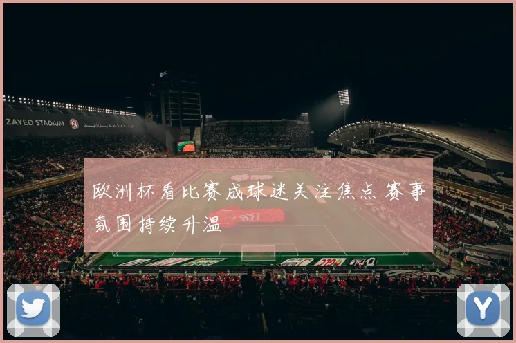 欧洲杯看比赛成球迷关注焦点 赛事氛围持续升温