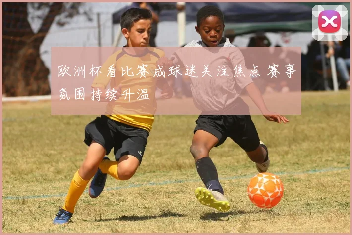 欧洲杯看比赛成球迷关注焦点 赛事氛围持续升温